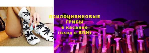 PSILOCYBIN Абдулино