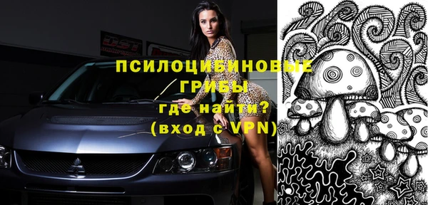 шишки Магас