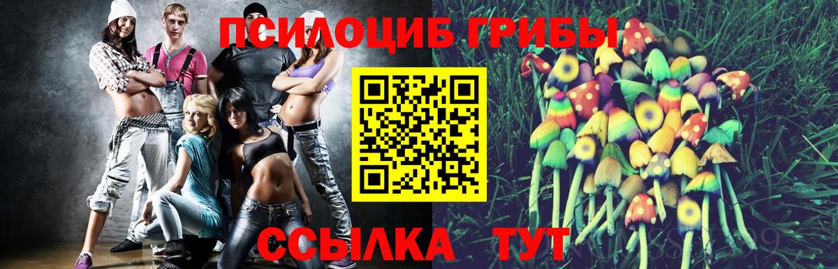 Галлюциногенные грибы GOLDEN TEACHER Норильск