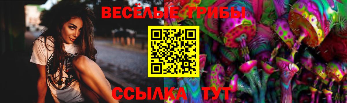 Норильск  Галлюциногенные грибы прущие грибы  Вход с VPN  Псилоцибиновые грибы Psilocybe 